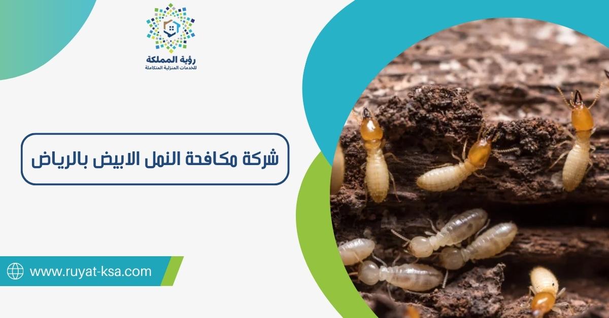 شركة مكافحة النمل قرطبة الرياض: الحل الأمثل لمشكلة النمل في منزلك