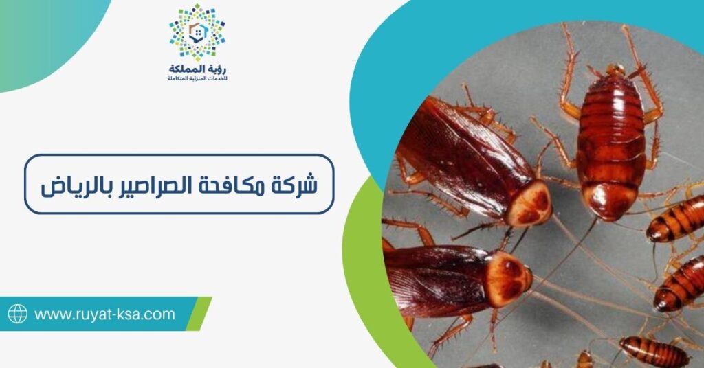 شركة مكافحة الصراصير بالرياض